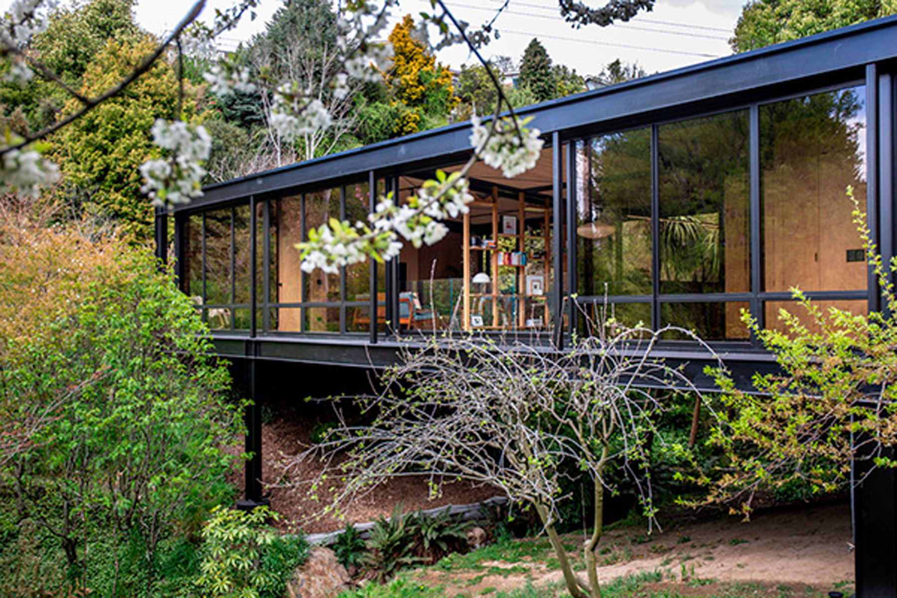suspended glasshouse project